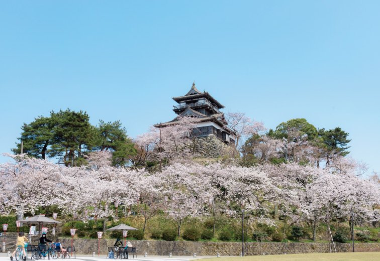 🏞️ 안개 성 공원(카스미가조 코엔) 이미지 2